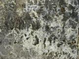 image of grave number 206126